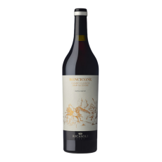 Roncicone Chianti Classico DOCG Gran Selezione Gaiole 2017 image