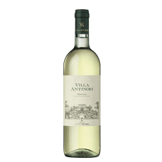 Villa Antinori Bianco 2024 image