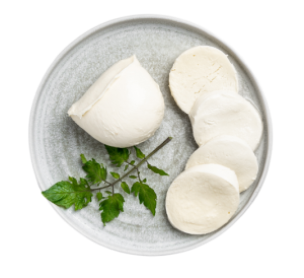 Mozzarella Fiordilatte 100g image