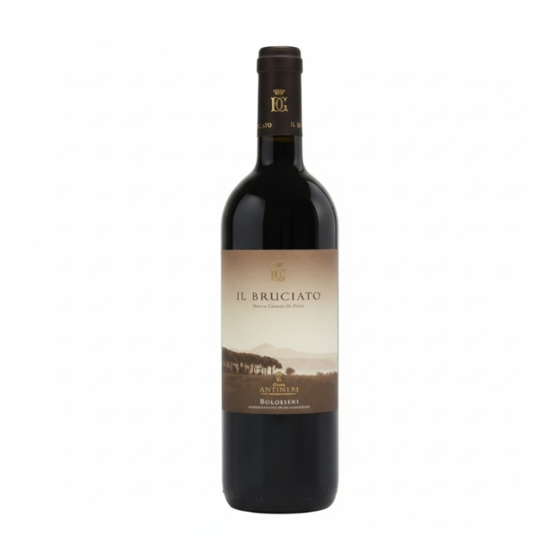 IL Bruciatto Bolgheri 2021